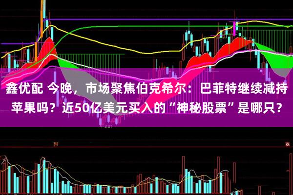 鑫优配 今晚，市场聚焦伯克希尔：巴菲特继续减持苹果吗？近50亿美元买入的“神秘股票”是哪只？