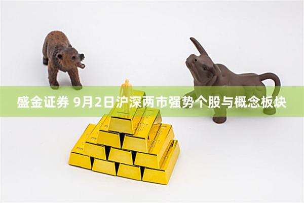 盛金证券 9月2日沪深两市强势个股与概念板块