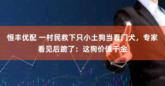 恒丰优配 一村民救下只小土狗当看门犬，专家看见后跪了：这狗价值千金