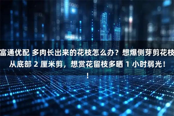 富通优配 多肉长出来的花枝怎么办？想爆侧芽剪花枝从底部 2 厘米剪，想赏花留枝多晒 1 小时弱光！