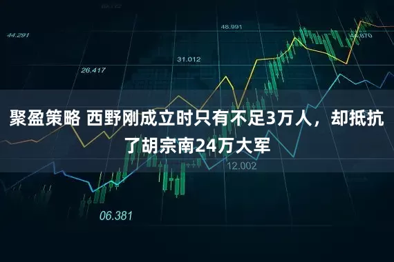 聚盈策略 西野刚成立时只有不足3万人，却抵抗了胡宗南24万大军