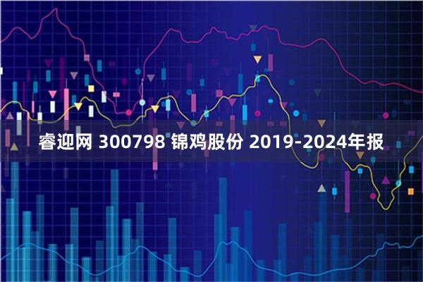 睿迎网 300798 锦鸡股份 2019-2024年报