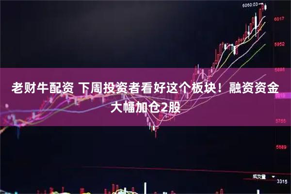 老财牛配资 下周投资者看好这个板块！融资资金大幅加仓2股